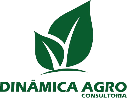Dinamica-removebg-preview